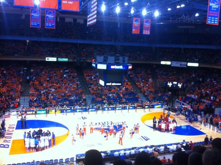 Cuti和Rdp在小队长面前争宠（封面配图）